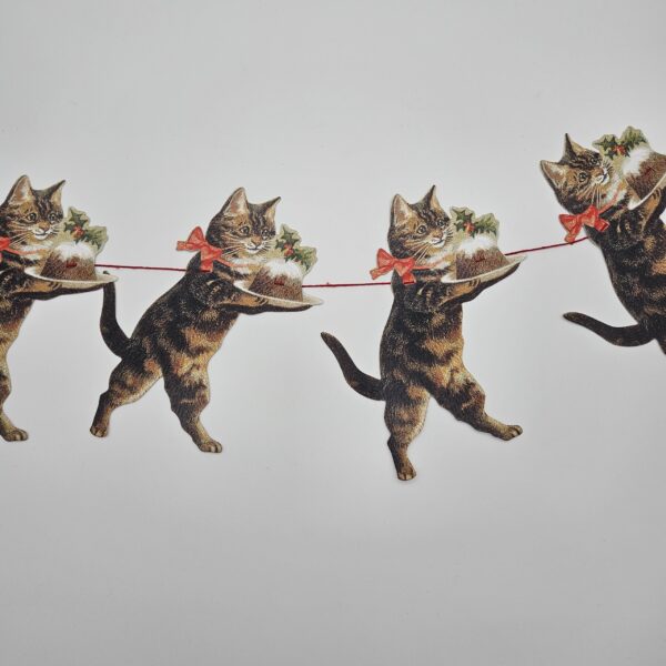 Cat Girlang